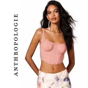 Anthropologie Mesh Corset Top in Raspberry